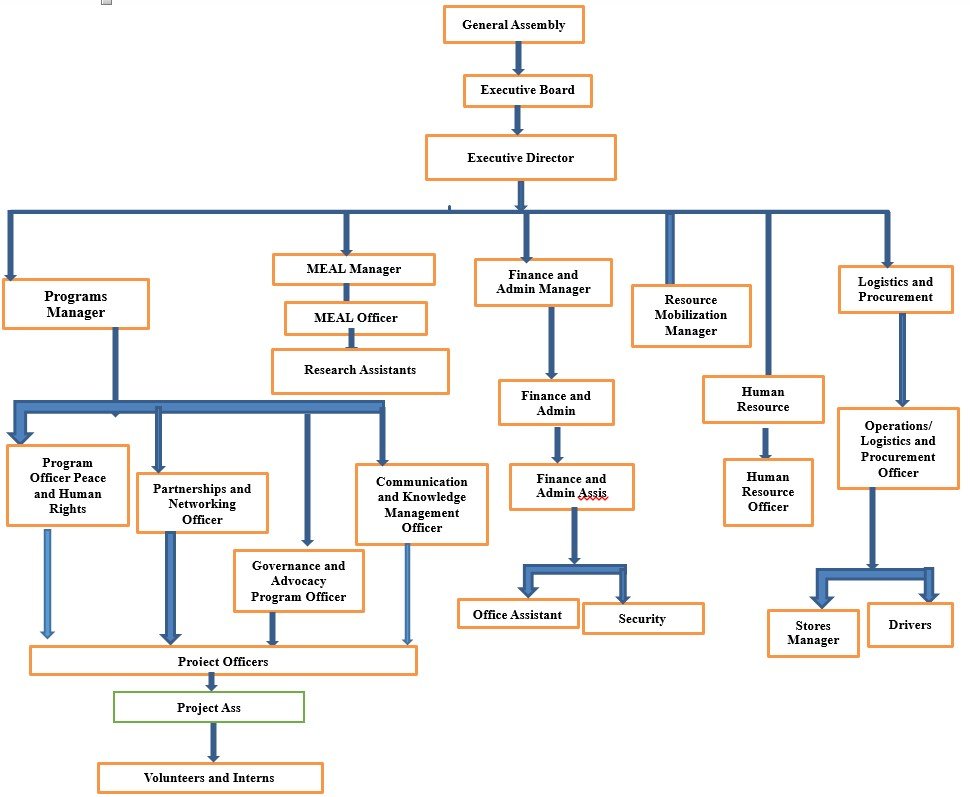 Riamiriam Organizational Structure